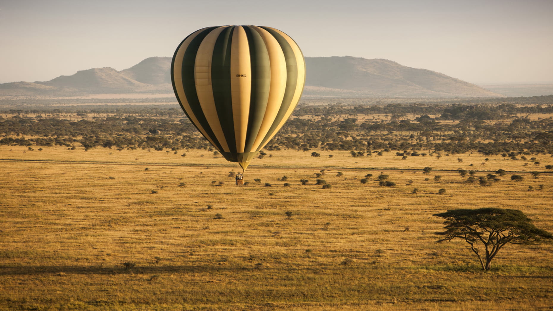 Plaines du Serengeti, Tanzanie